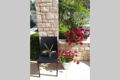For Families Only - Casa Nora Novigrad