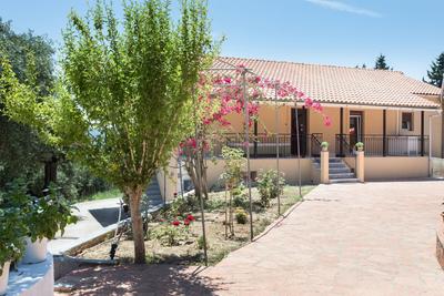 Olive Tree House