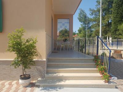B&B La pineta