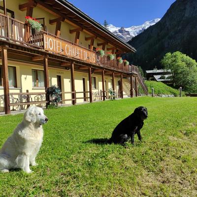 Chalet du Lys Hotel & SPA