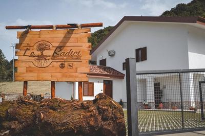 Le Radici Laviano