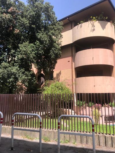 Vatican area Piccolomini House Superattico ristrutturato e arredato