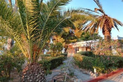 Pine tree beachfront villa