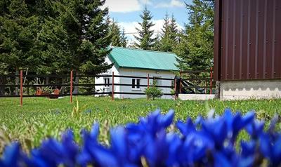 Edelweiss village apartment