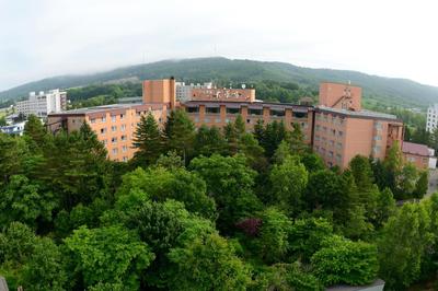 Hotel Daiheigen, Photo 2