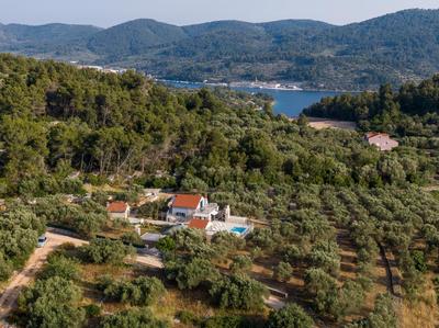 Villa Barbara - Olive Paradise, with chlorine-free pool