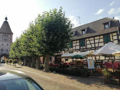 Gites Aux Fines Bulles d'Alsace SPA privatif