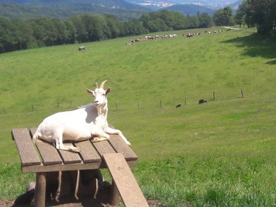 Au Doubs Repos