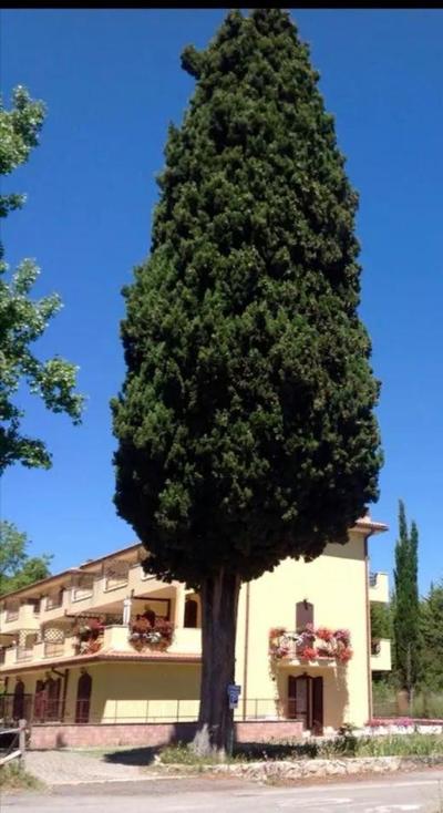Villa Terrena