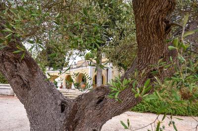 Villa Luciana
