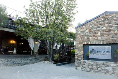Olive Grove Guesthouse main