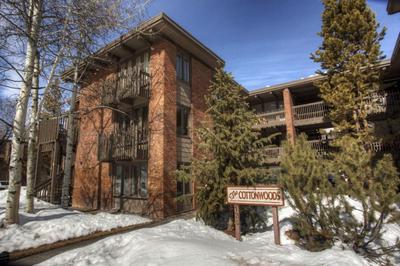 Cottonwoods Unit 1C, Downtown Condo with Upgraded Kitchen & Bathrooms