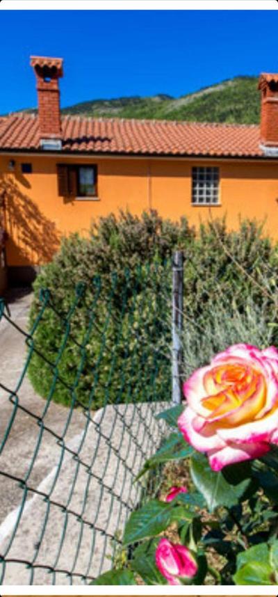 Diana Apartman