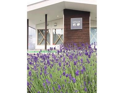ＦＵＲＡＮＯ ＮＡＴＵＬＵＸ ＨＯＴＥＬ - Vacation STAY 68187v