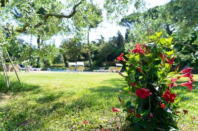 Frascati Country House