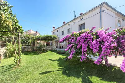 Apartment Donata