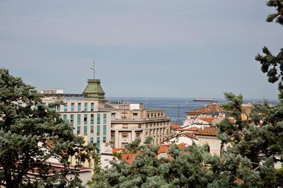 La Donota