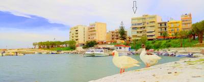 Panoramic Sea View
