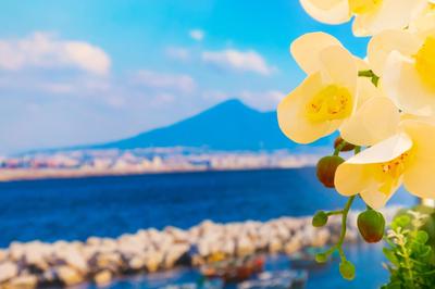Le Meraviglie Di Napoli
