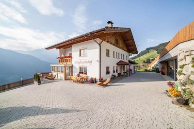 Tonigbauernhof Blumenwiese