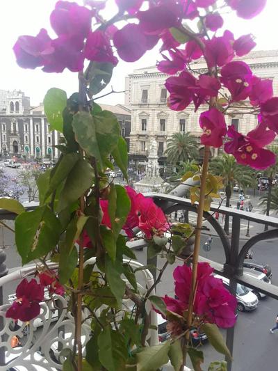 B&B Florio