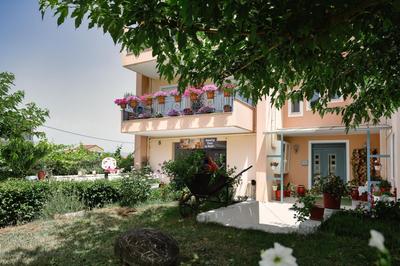 Amazing Place in Pedini