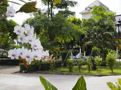 Luckswan Resort Chiang Rai - SHA Extra Plus