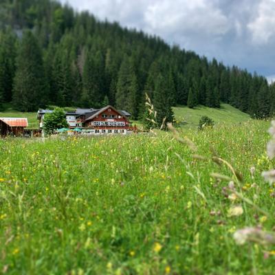 Alpenhotel DAS KÜREN