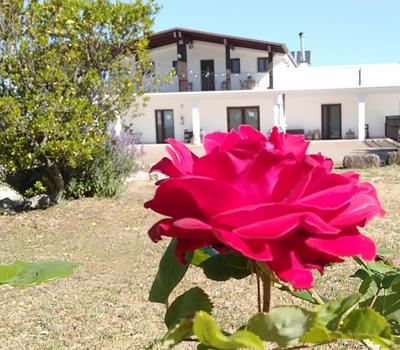 Supramurgia Agribistrot