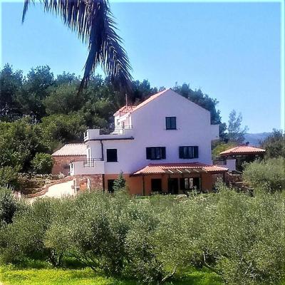 Lavender Hill Hvar Villa - pool, jacuzzi,sauna,BBQ