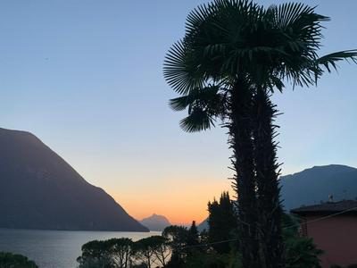 Room with a View