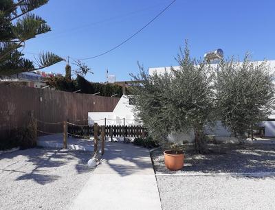 Delphini Studios - for the disabled