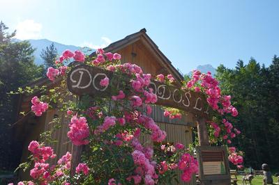 Eko hiša-Eco House Na razpotju