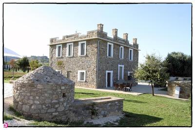 Alta Area
