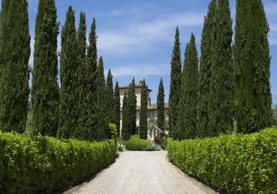 Villa Chianti Fornace by MC Luxury Rentals