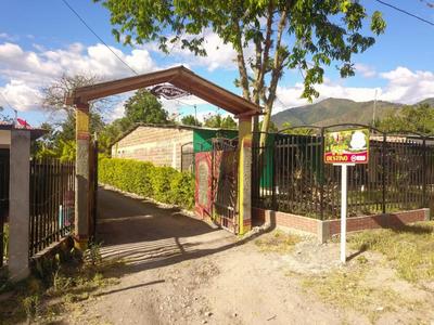 Villa Sonia Eco-Hostel