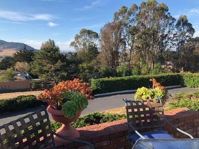 Carmel Comfort Monthly