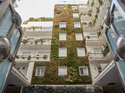 Palazzo Beltrade by Halldis