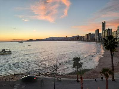 Don Miguel 1-Fincas Benidorm
