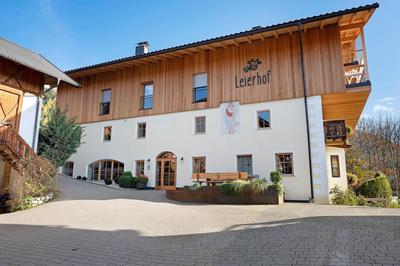 Leierhof Olivia