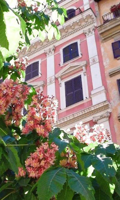 Centro Roma Trastevere Lovely House