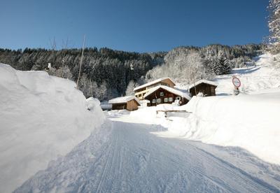 Bonawinkel NEU by Pferd auf Wolke