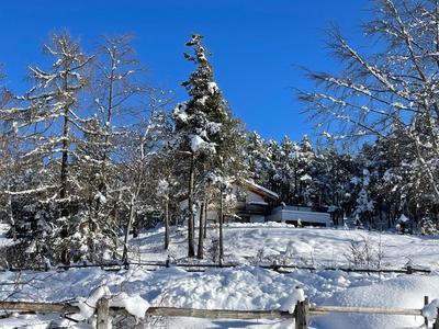 Chalet Ly's Nest
