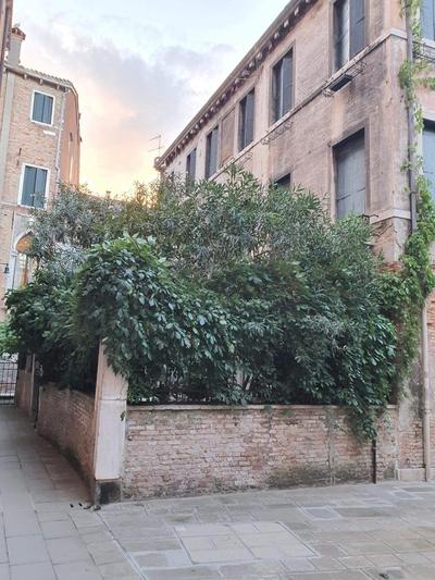 Residenza oleandro rosa