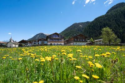 Preindlerhof Farmhouse
