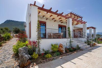 Entire Villa Phenomena