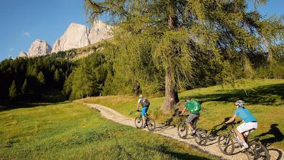 App Dolomiten Villa Colli