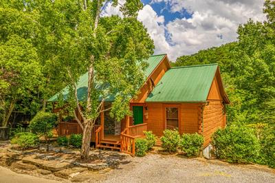 Firefly Hollow Cabin - Smoky Mountains - Soaky Mountain Water Park - Sevierville Convention Center
