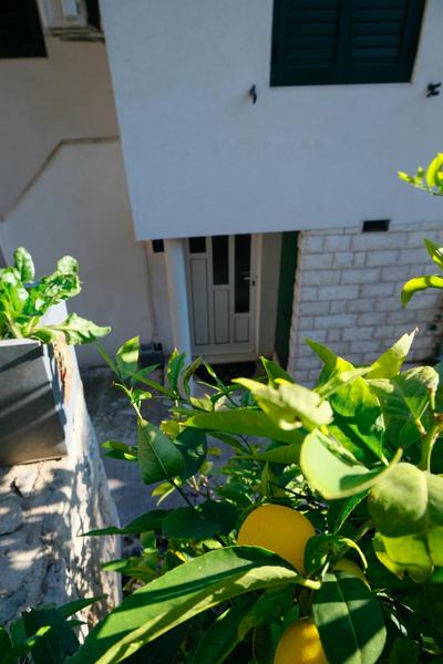 Split Centre Apartment