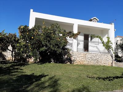 Spacious apartment Zivkovic with balcony, big garden and grill
